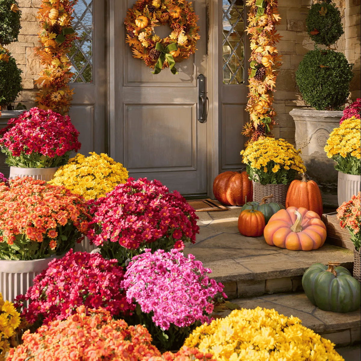 HerbstLiva Wetterfeste Kunst Chrysanthemen im 5er Set für Garten und Terrasse