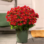 HerbstLiva Wetterfeste Kunst Chrysanthemen im 5er Set für Garten und Terrasse