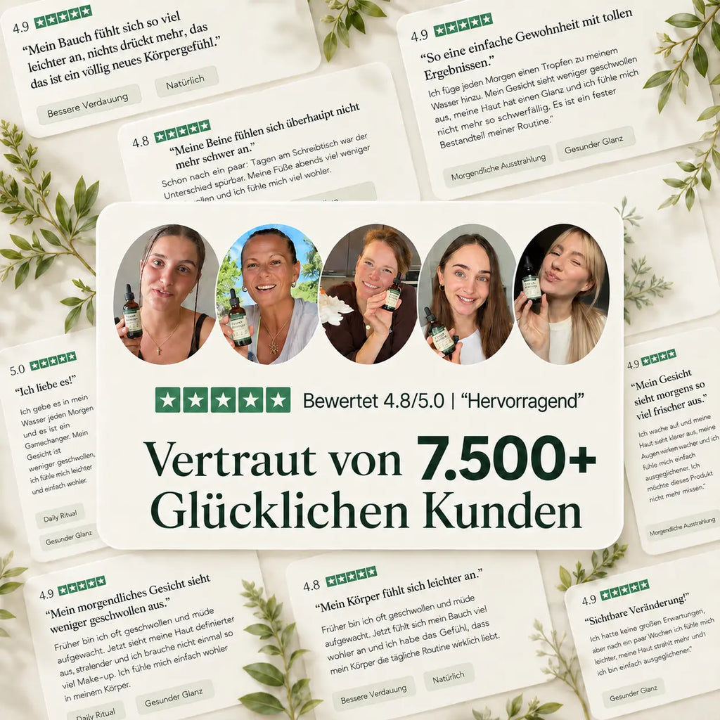 Lymora Pflanzliche Kräutertropfen für deine tägliche Wellness Routine