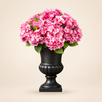 Hortensia Kunsthortensien