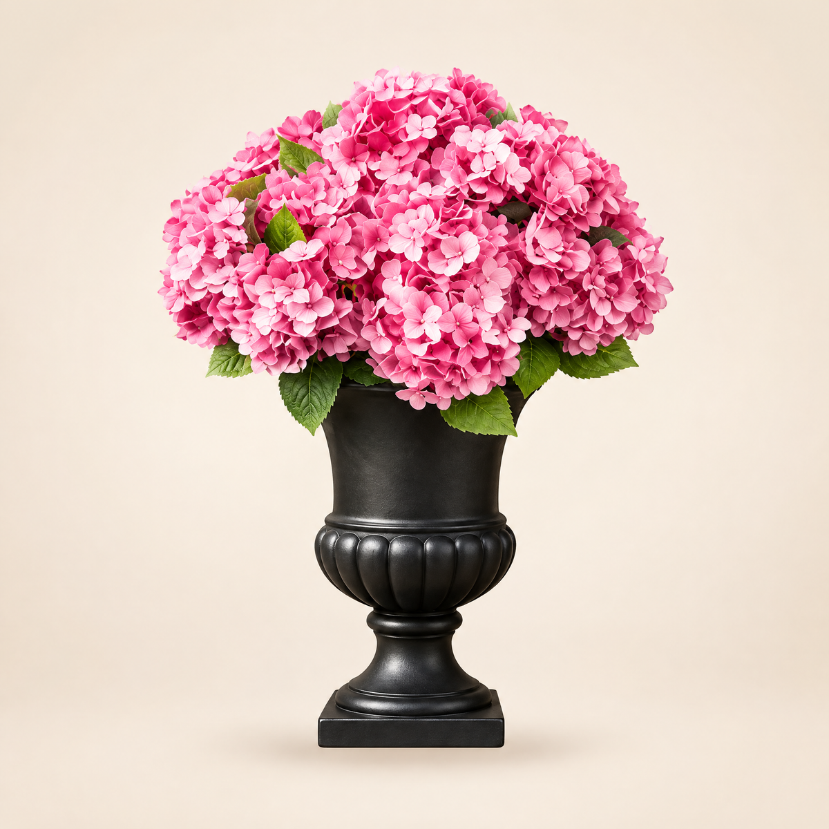 Hortensia Kunsthortensien