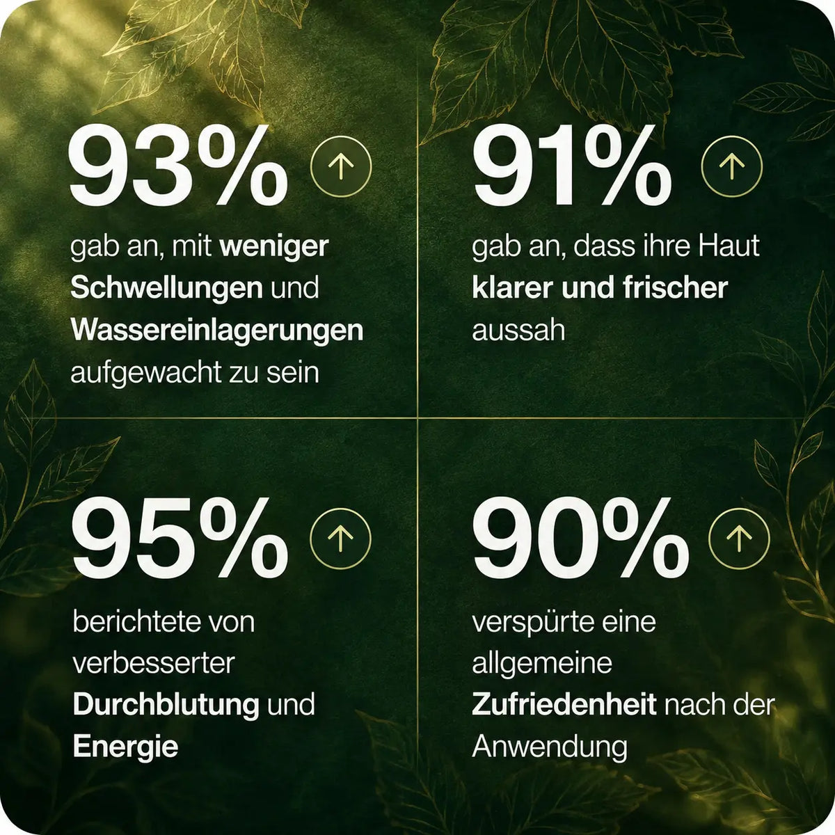 Lymora Pflanzliche Kräutertropfen für deine tägliche Wellness Routine