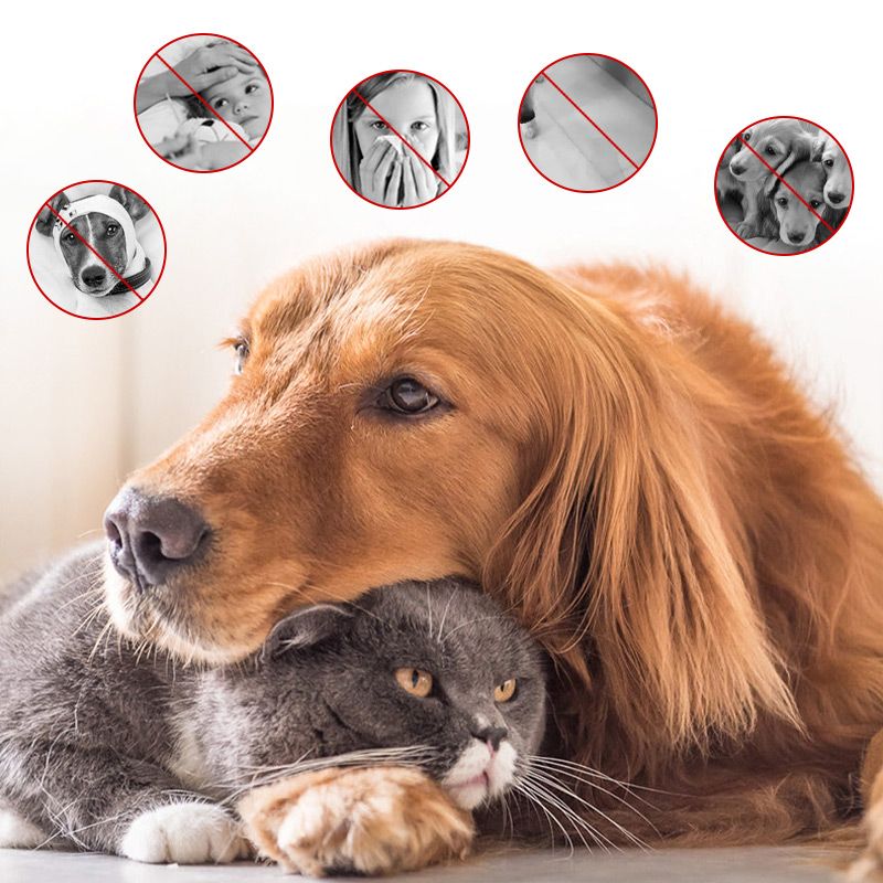 FreshPaw Geruchsentferner Spray für Haustiere und Zuhause